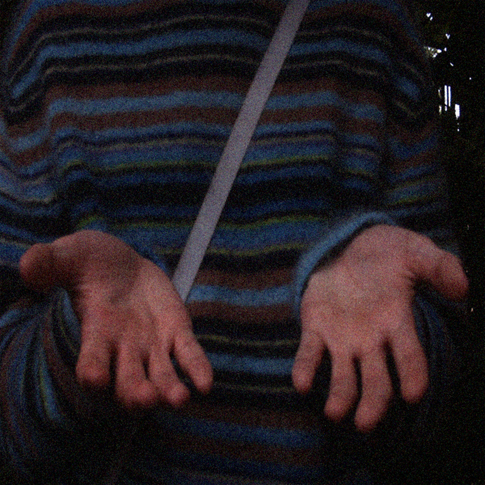 Scenes of Plectra and Mallets album cover